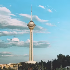 محصول تستی 1